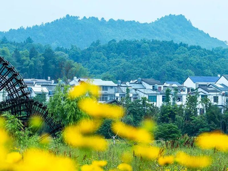 乡村振兴背景下,如何建好美丽乡村